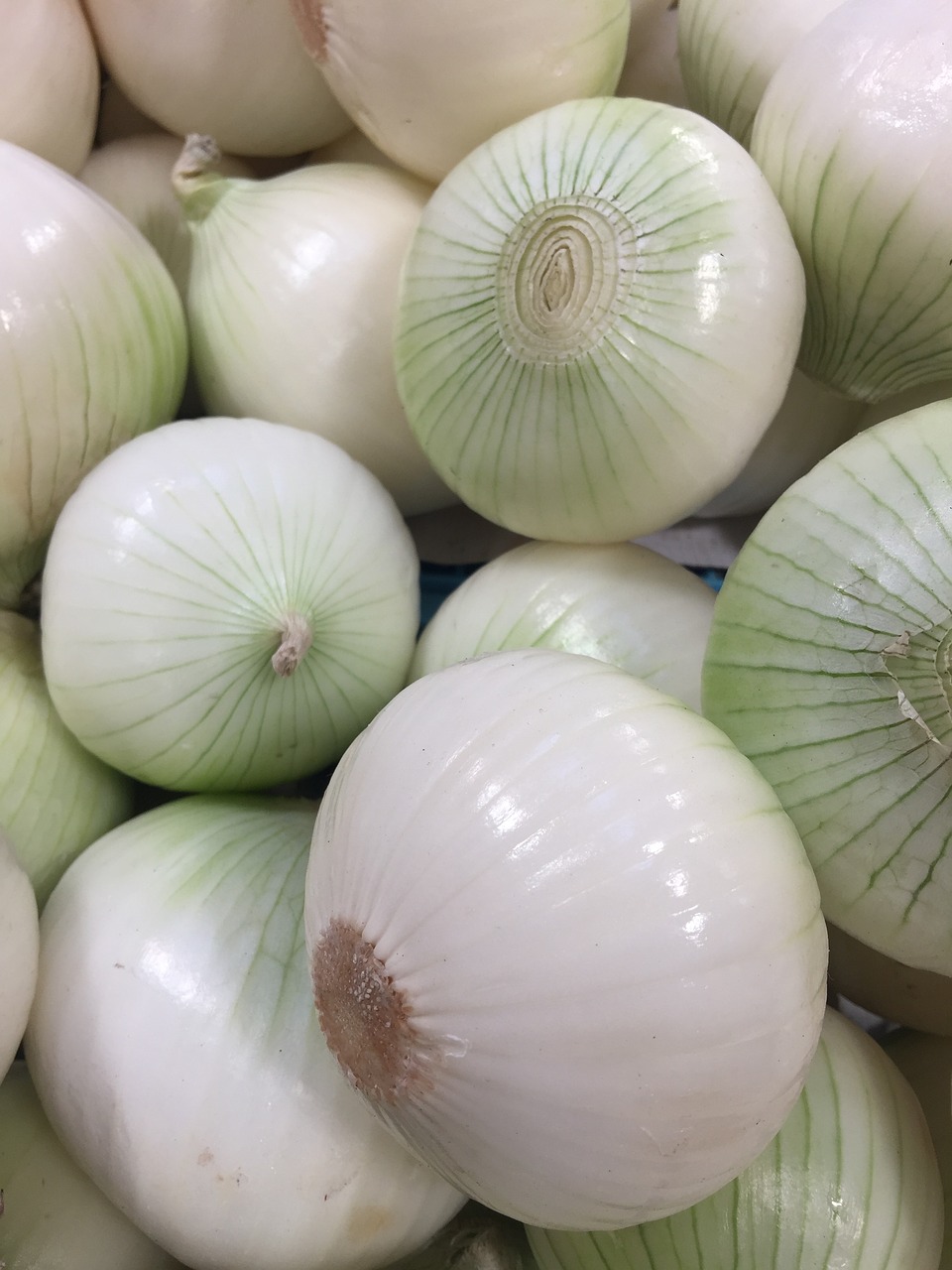 kitchen vegetable onion free photo