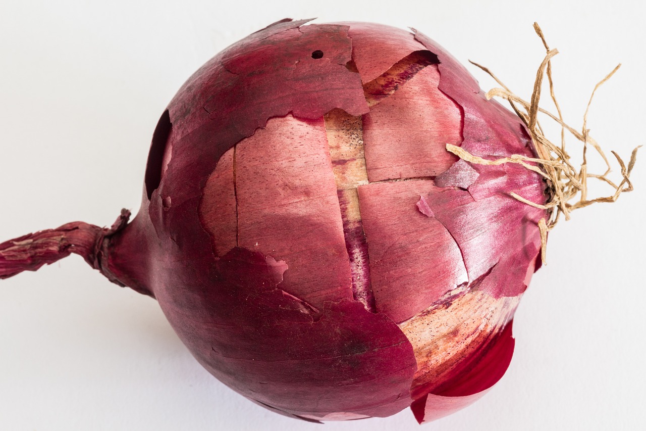 kitchen onion onions bolle free photo