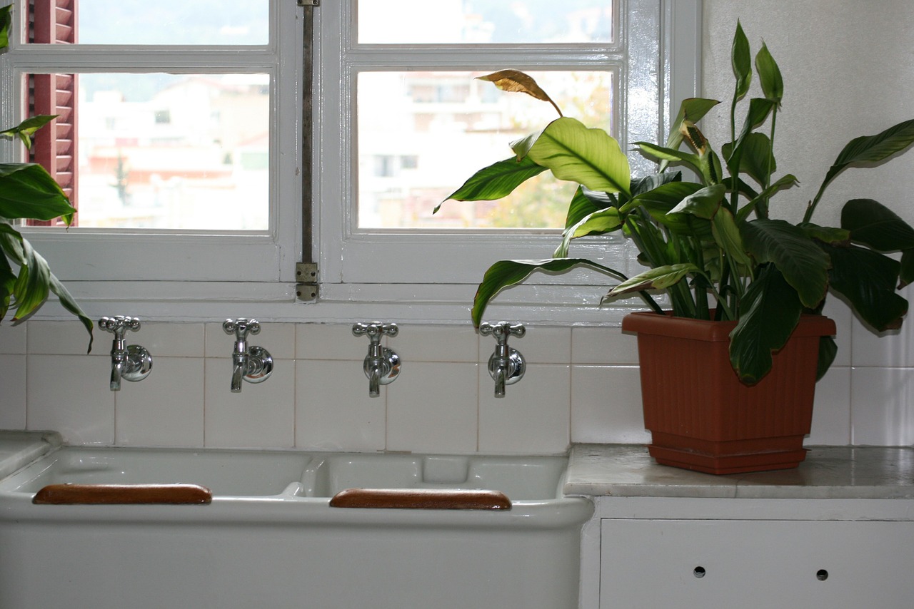 kitchen sink cranes white free photo