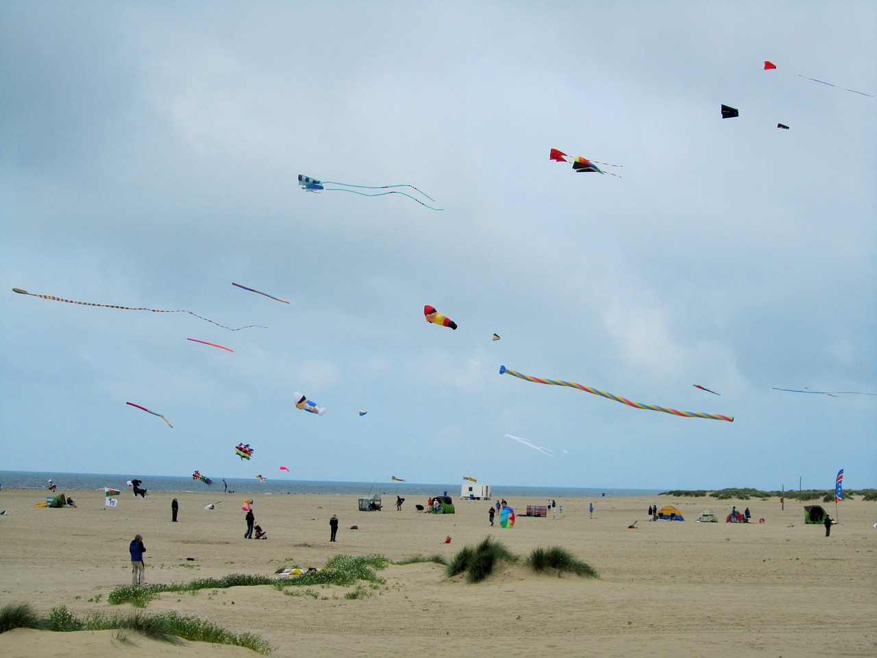 kite wind flying free photo