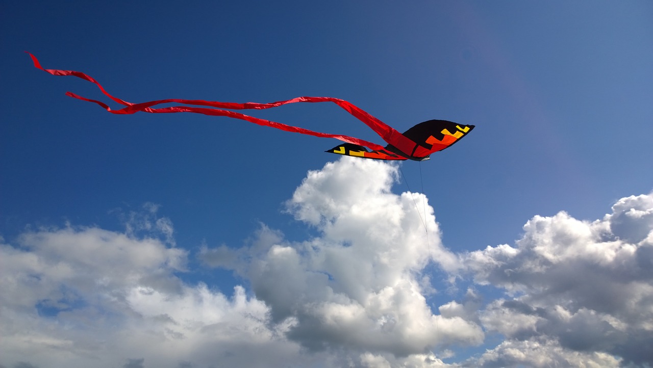 kite red black free photo