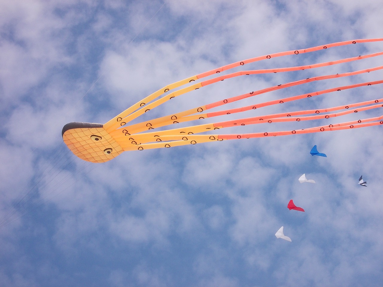 kite wind bray-dunes free photo