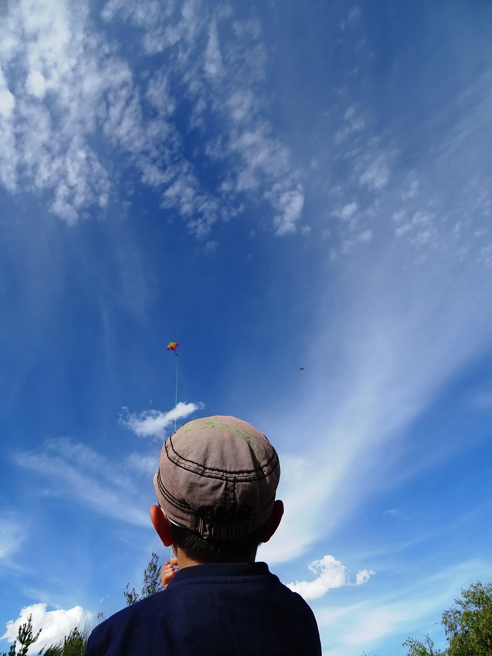 kite child height free photo