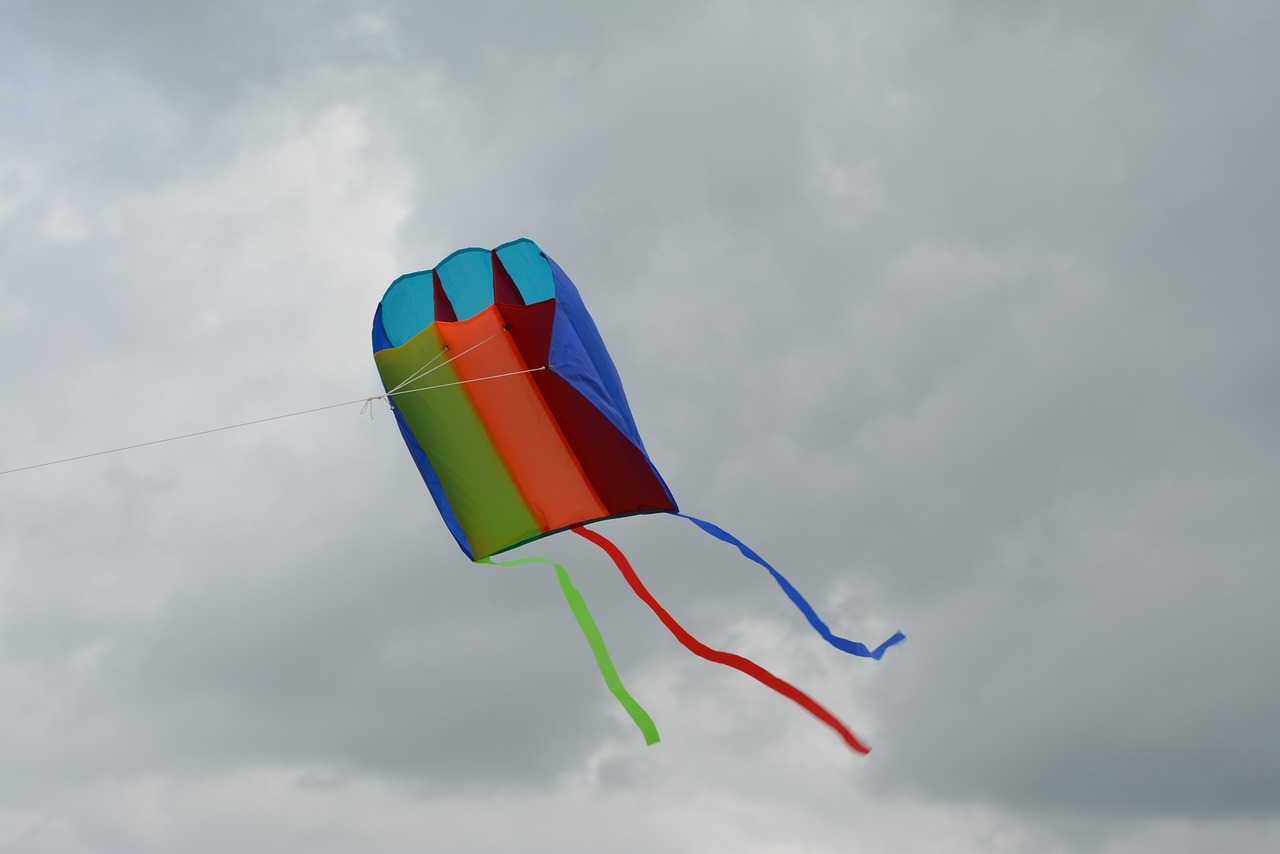 kite air snakes free photo