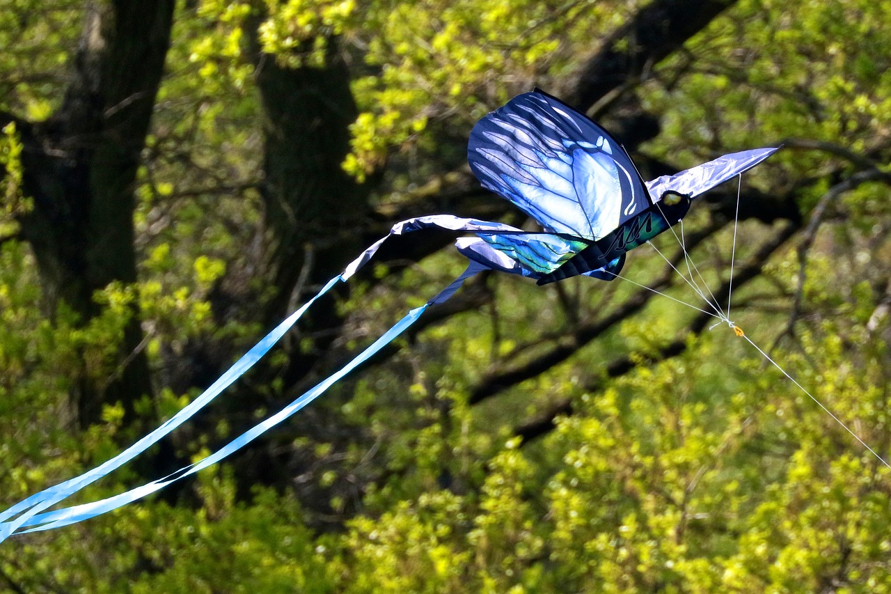 kite park play blue kite free photo