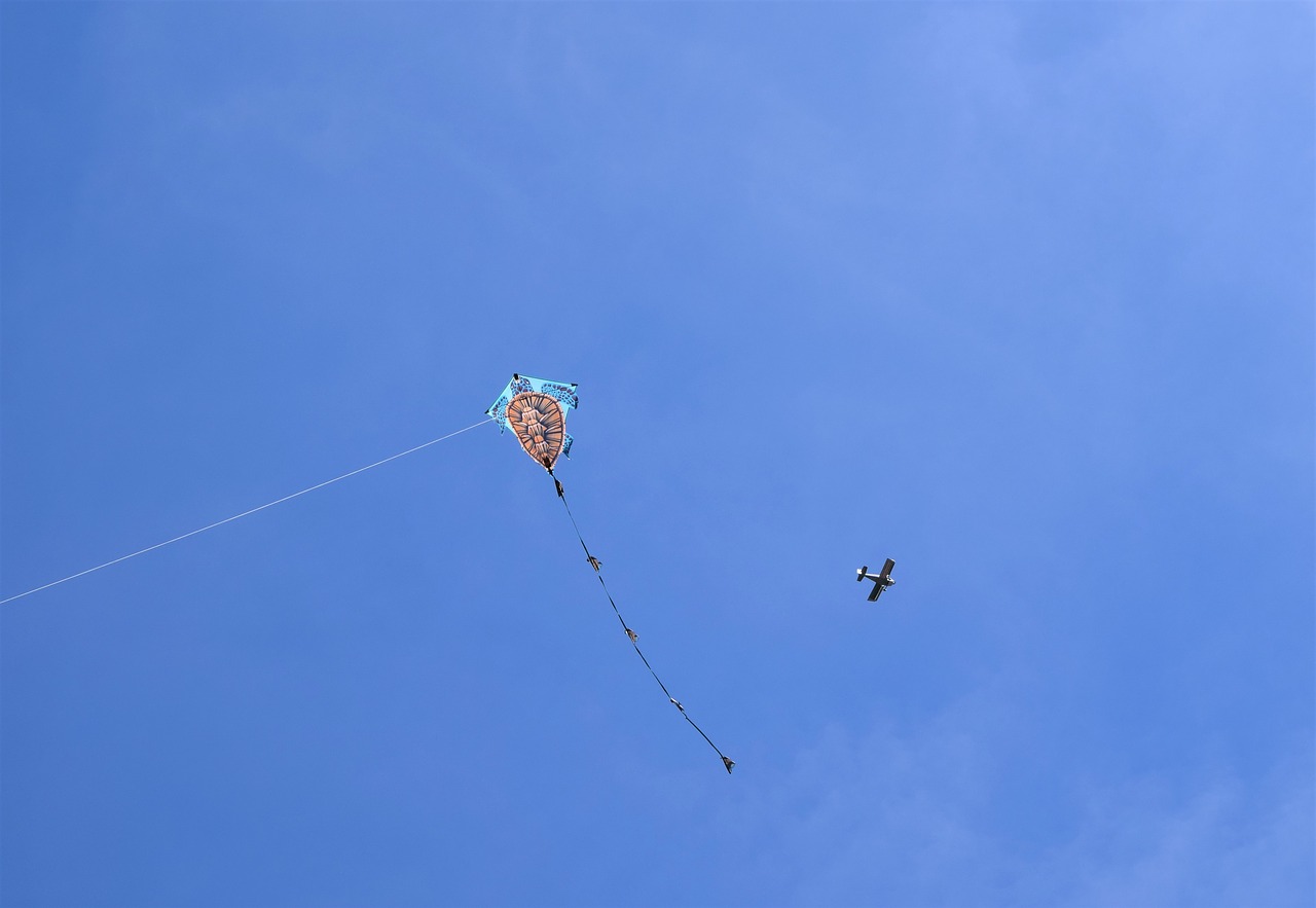 kite plane blue free photo