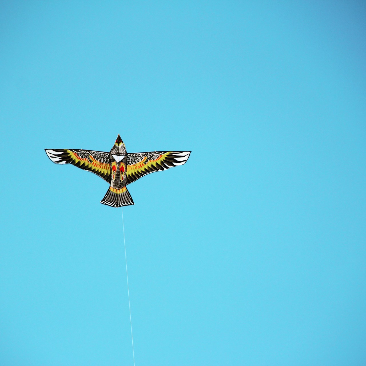 kite sky white space free photo