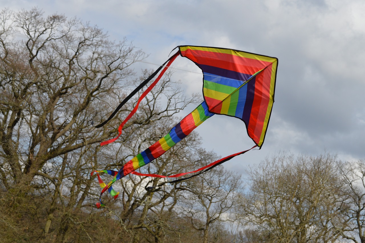 kite tail trees free photo