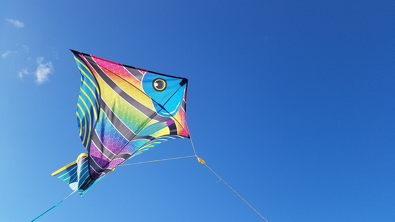 kite jacksonville florida free photo