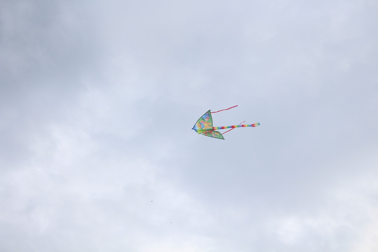 kite sky color free photo