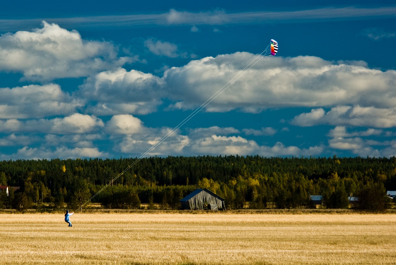 kite field fly free photo