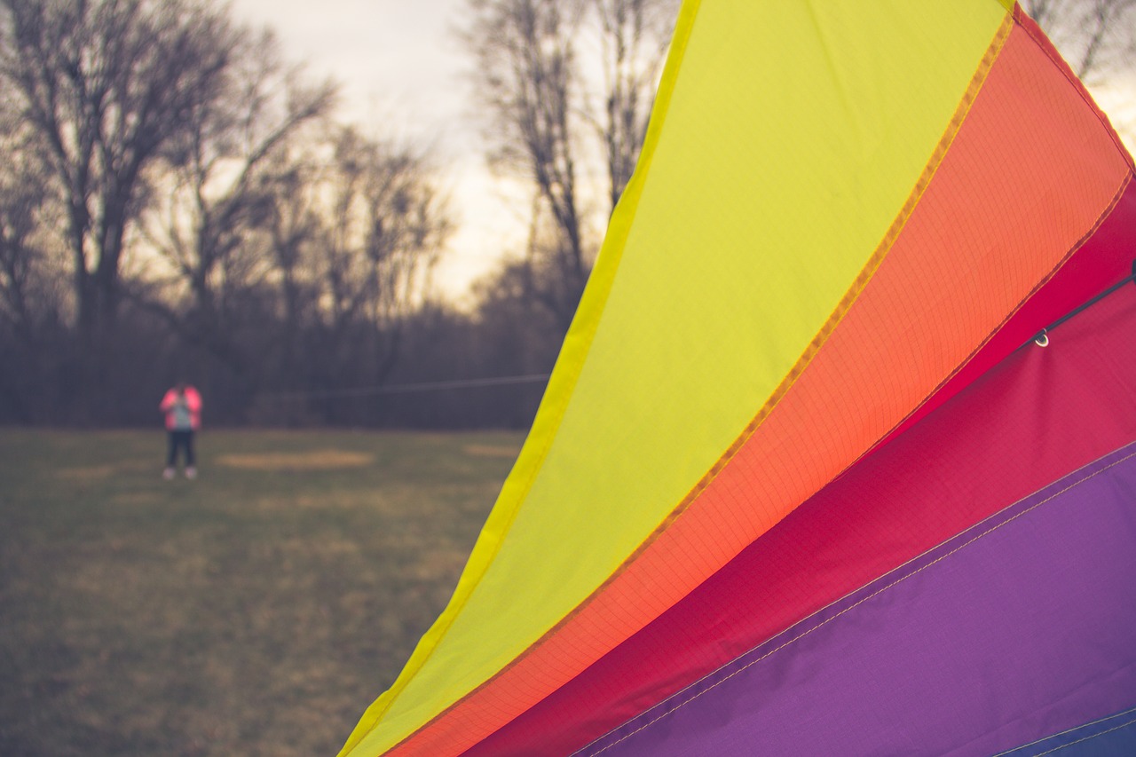 kite park colors free photo