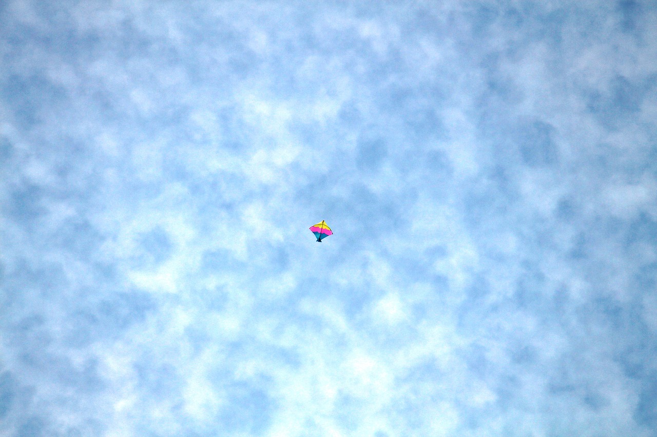 kite sky india free photo