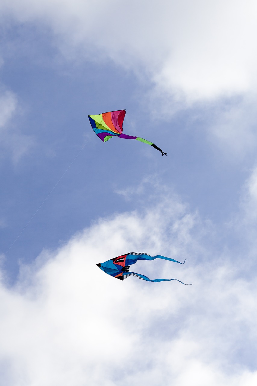 kite dragon autumn free photo