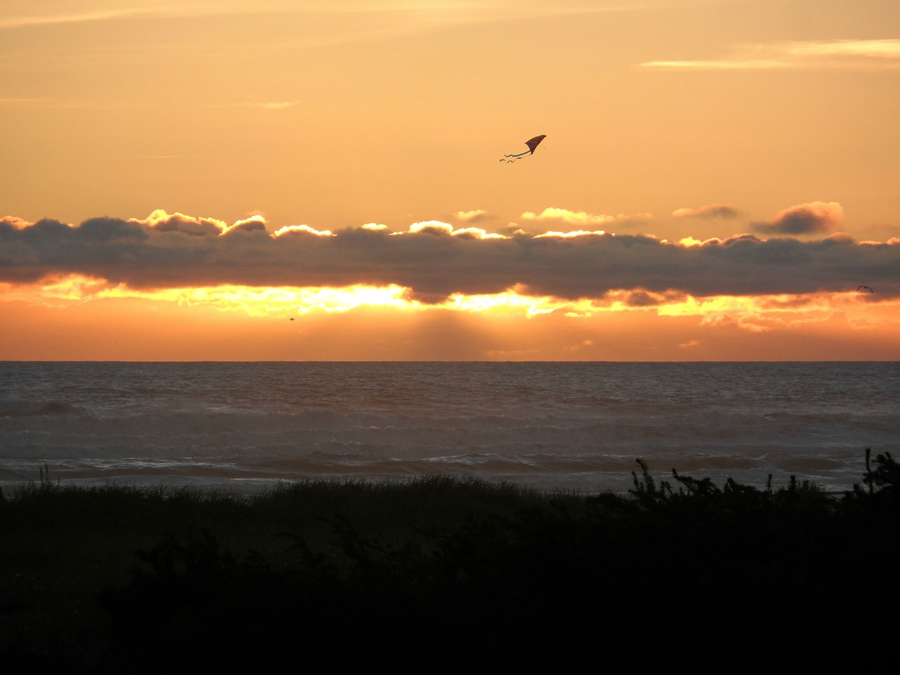 kite sunset ocean free photo