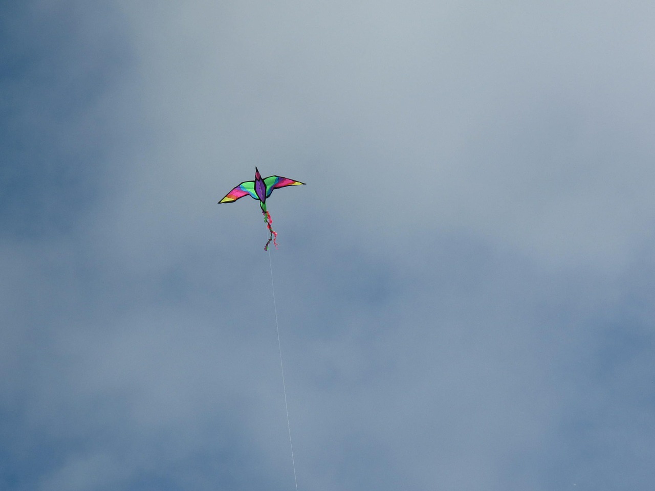kite sky bird free photo