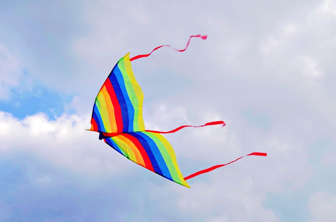 kite  wind  screen free photo
