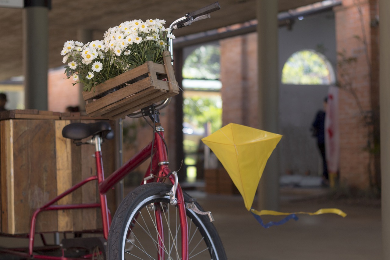 kite  bike  flower flowers free photo