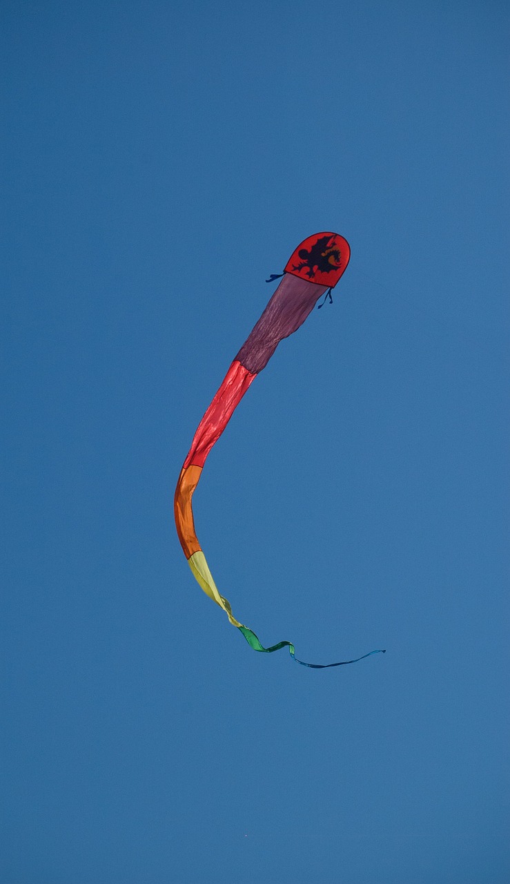 kite sky fly free photo