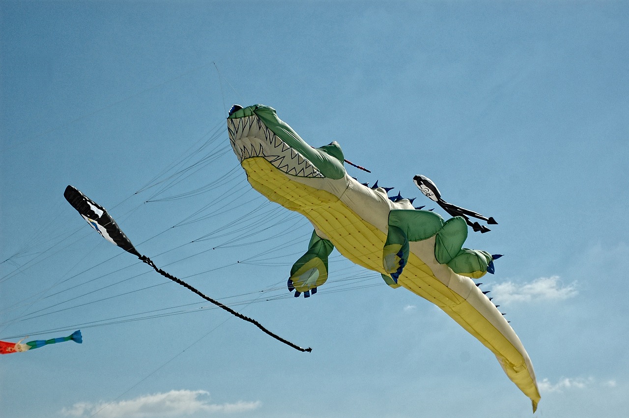 kite crocodile beach free photo