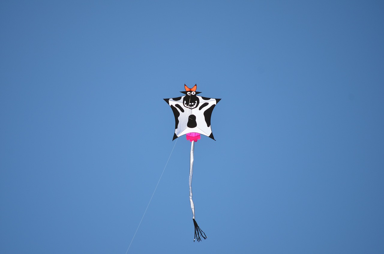 kite cow animal free photo
