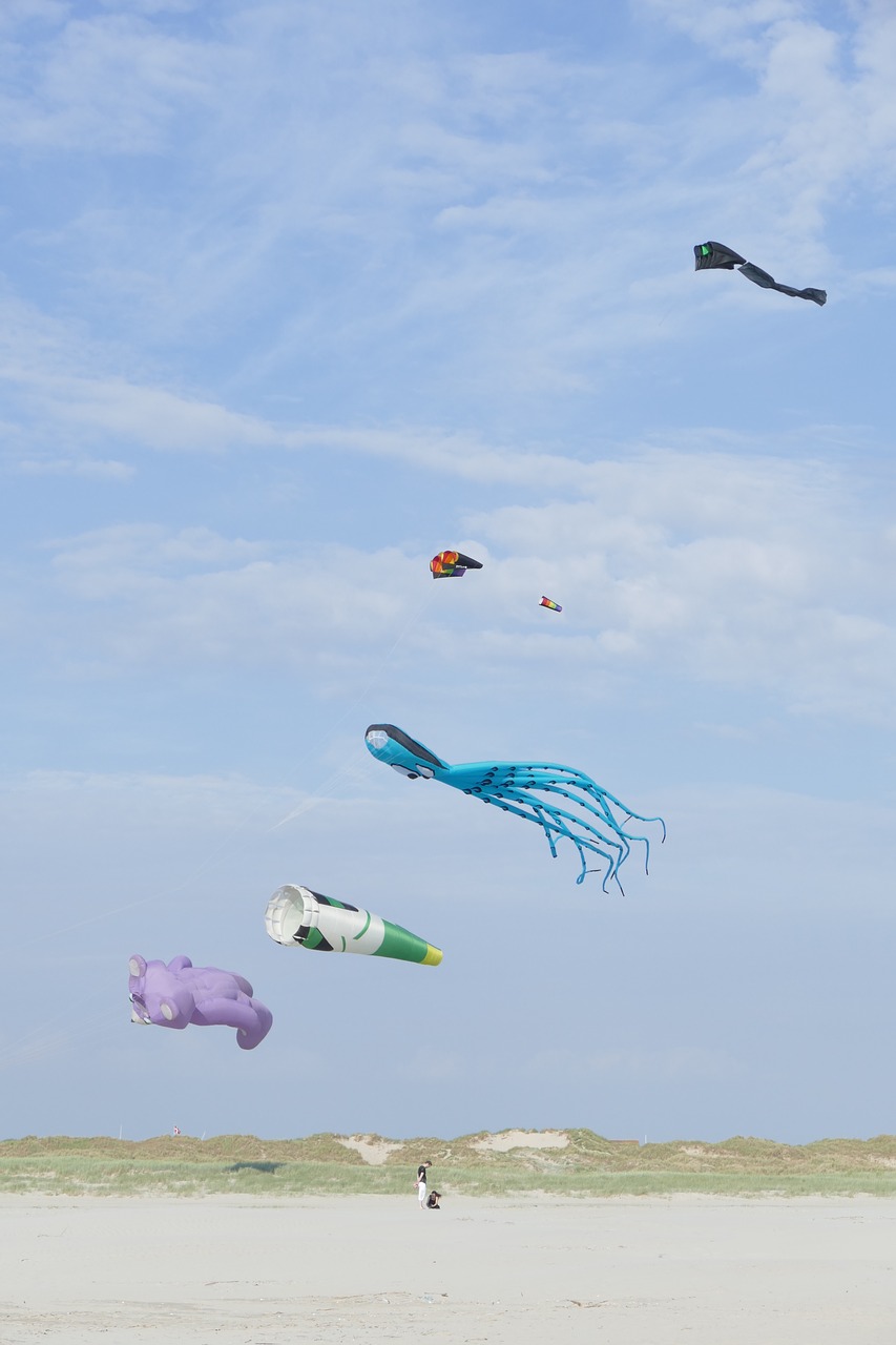 kite festival  denmark  air free photo