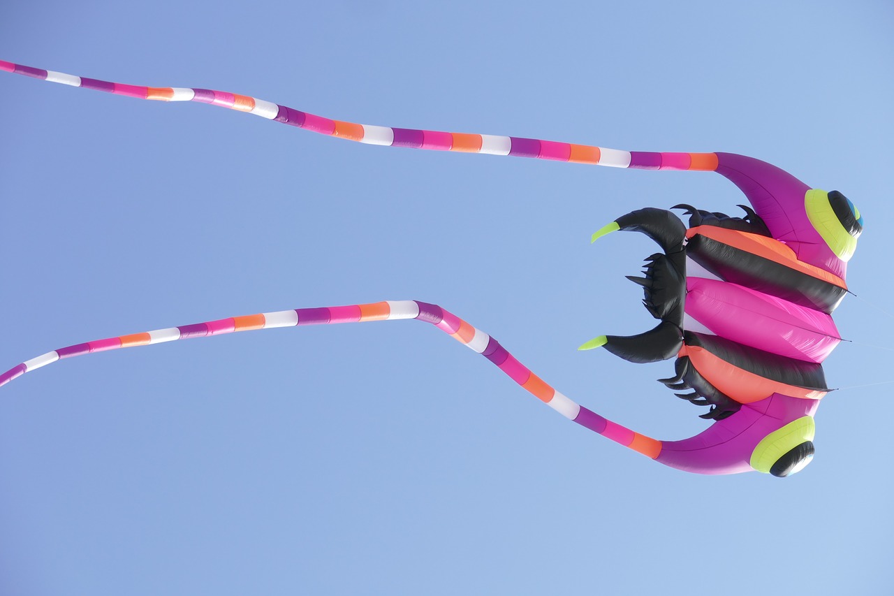 kite festival  denmark  sky free photo