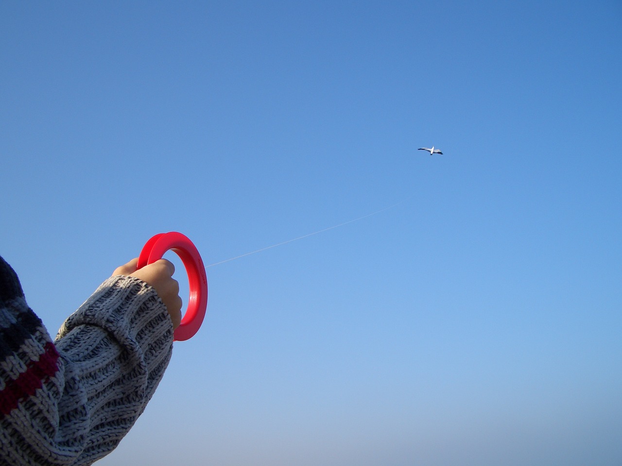 kite flying wind sky free photo