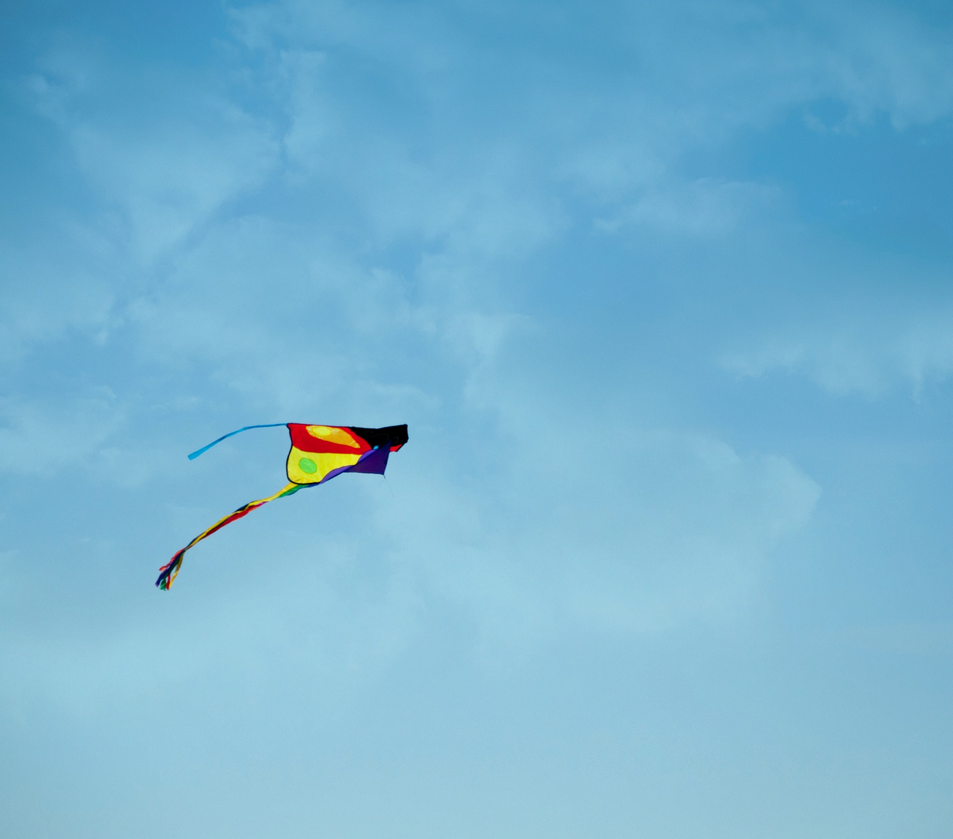 I like my kite. Воздушные змеи. Прикольные воздушные змеи. Воздушный змей в небе. Кайт птица.