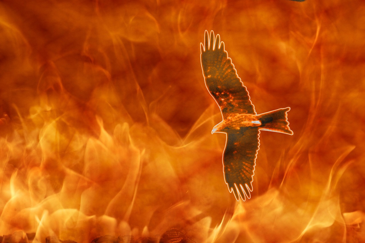 kite on fire raptor flames free photo