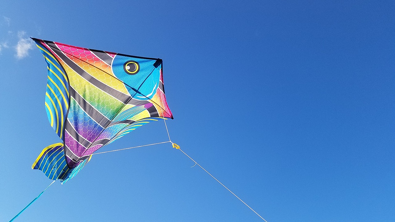 kite surfing jacksonville florida free photo