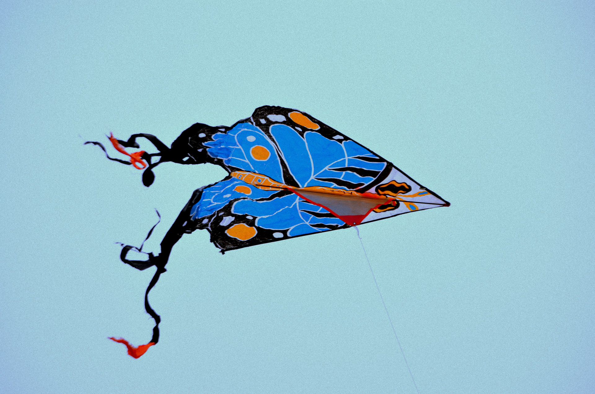 kite sky fly free photo