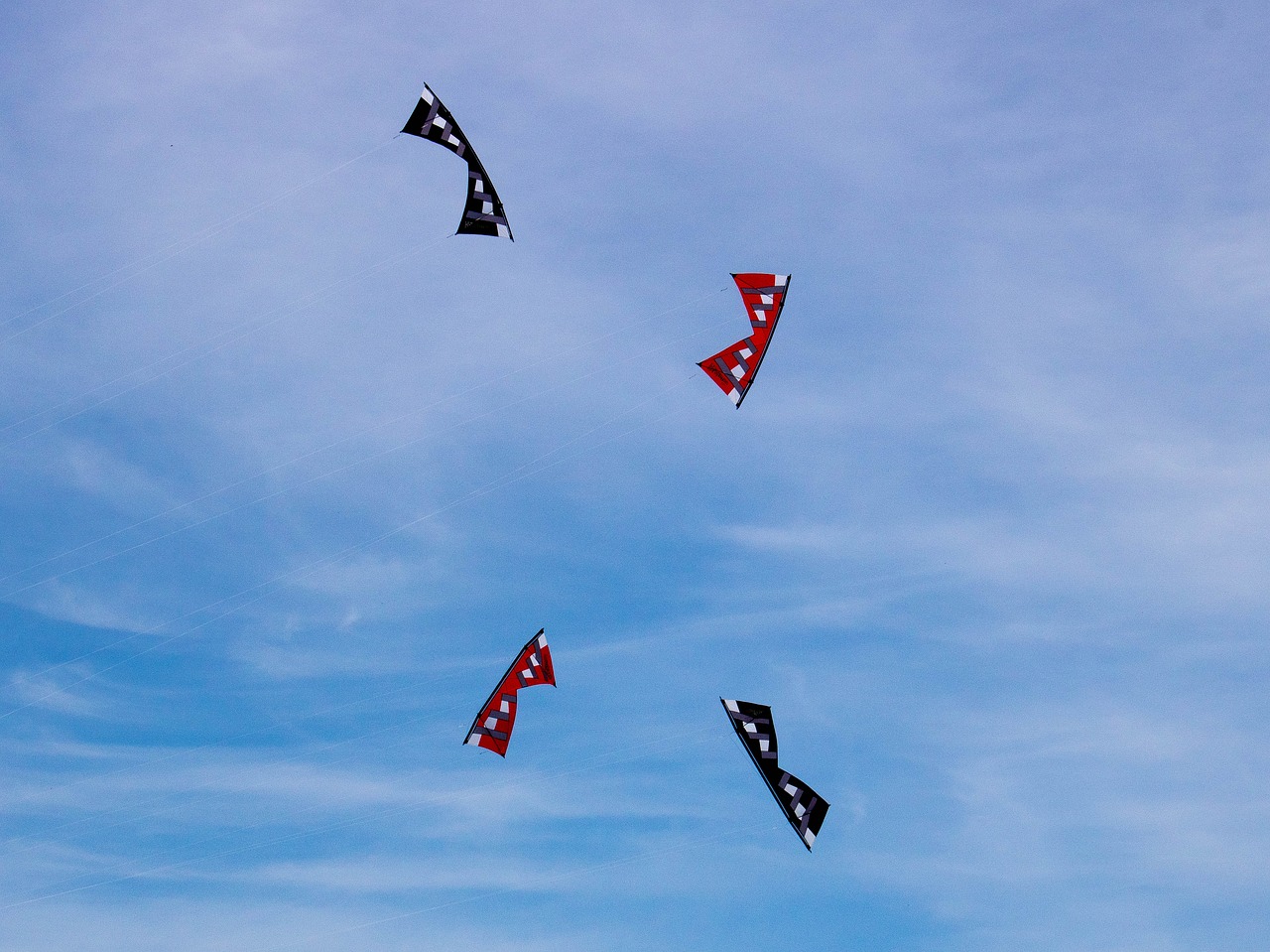 kites summer outdoor free photo