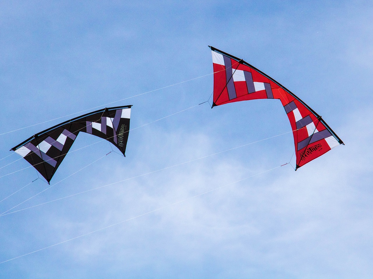 kites summer outdoor free photo