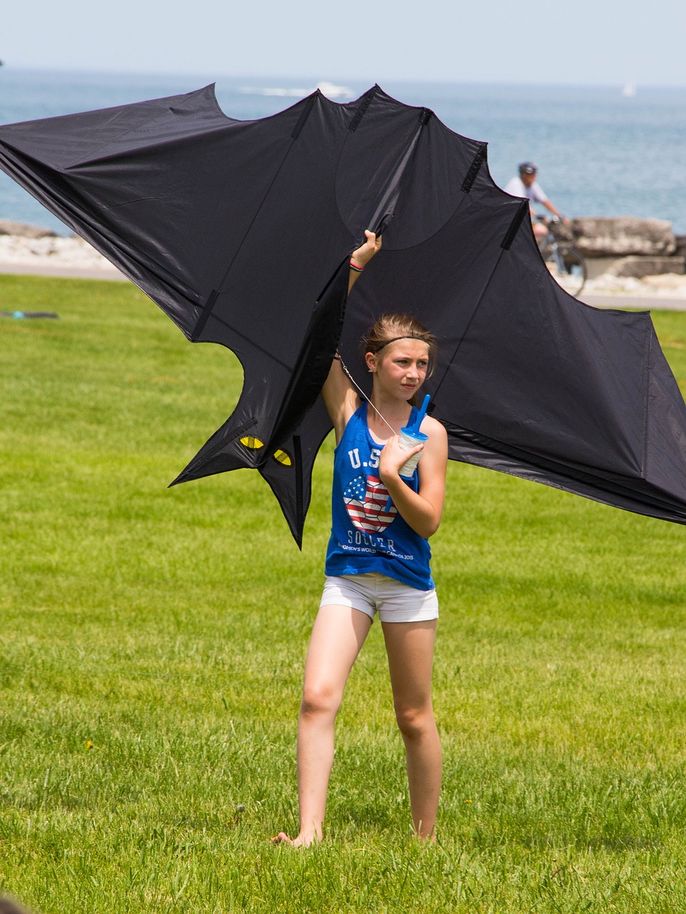 kites summer outdoor free photo