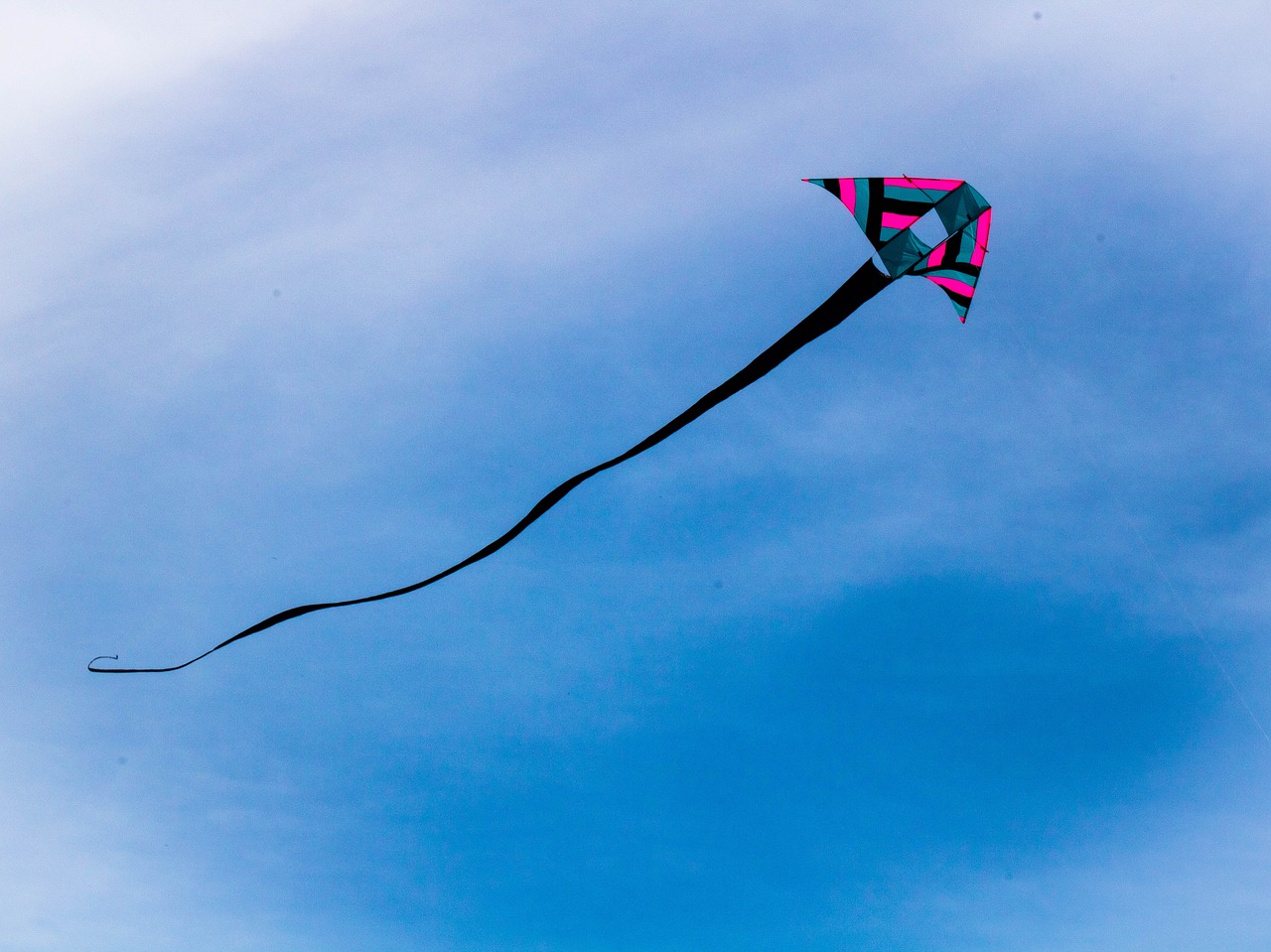 kites summer outdoor free photo