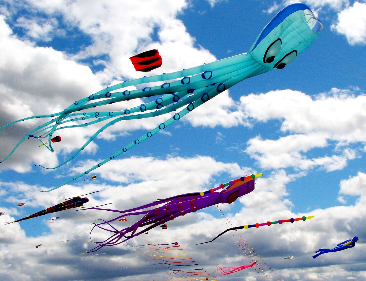 kites sky fun free photo