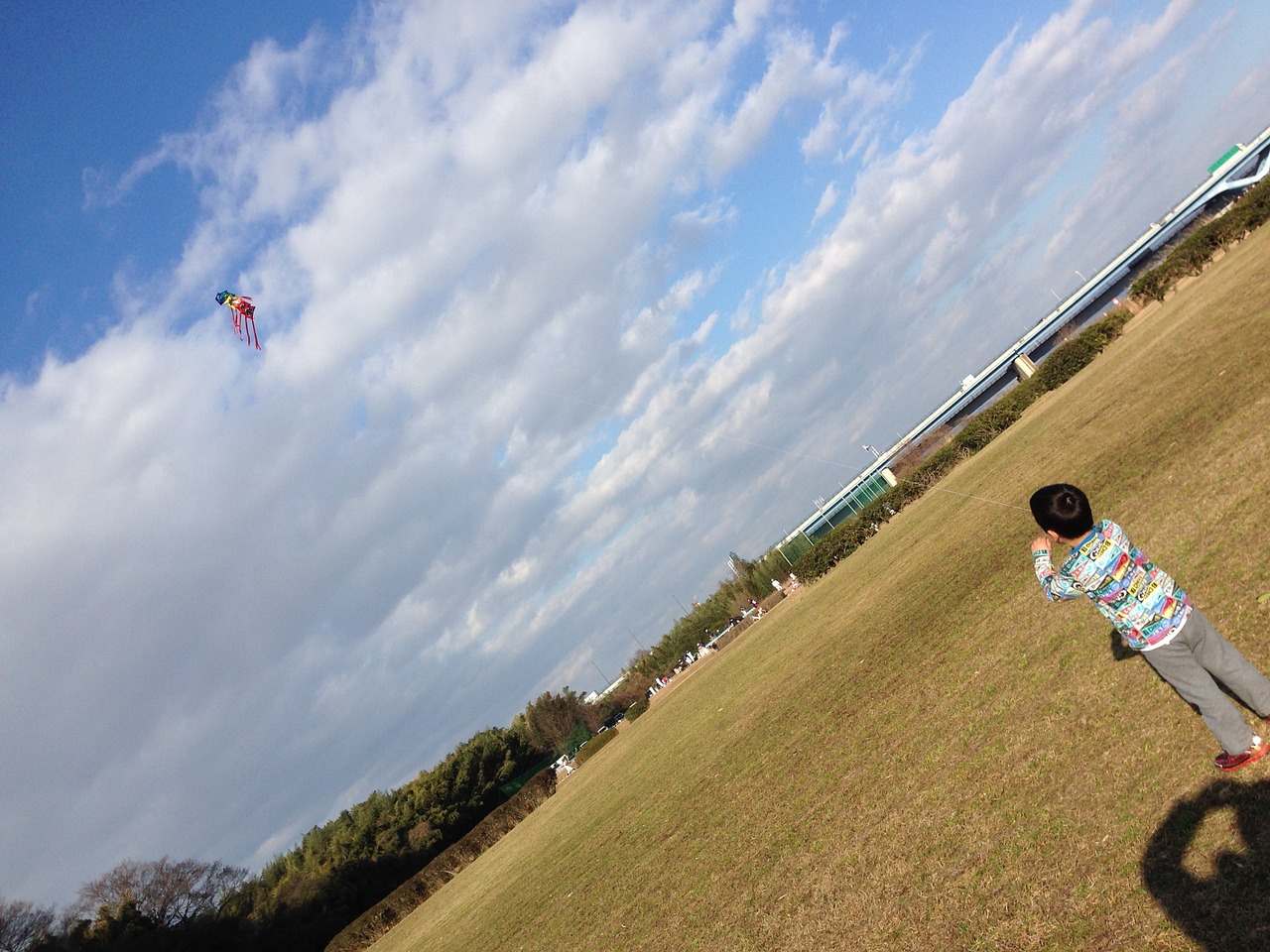 kites kite kite kite lawn free photo