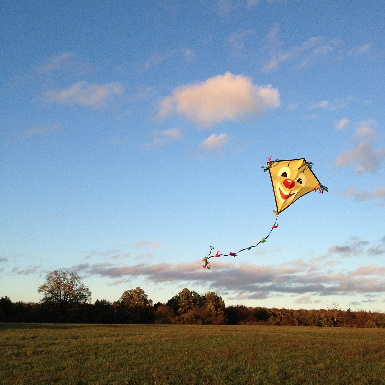 kites rise autumn dragons free photo