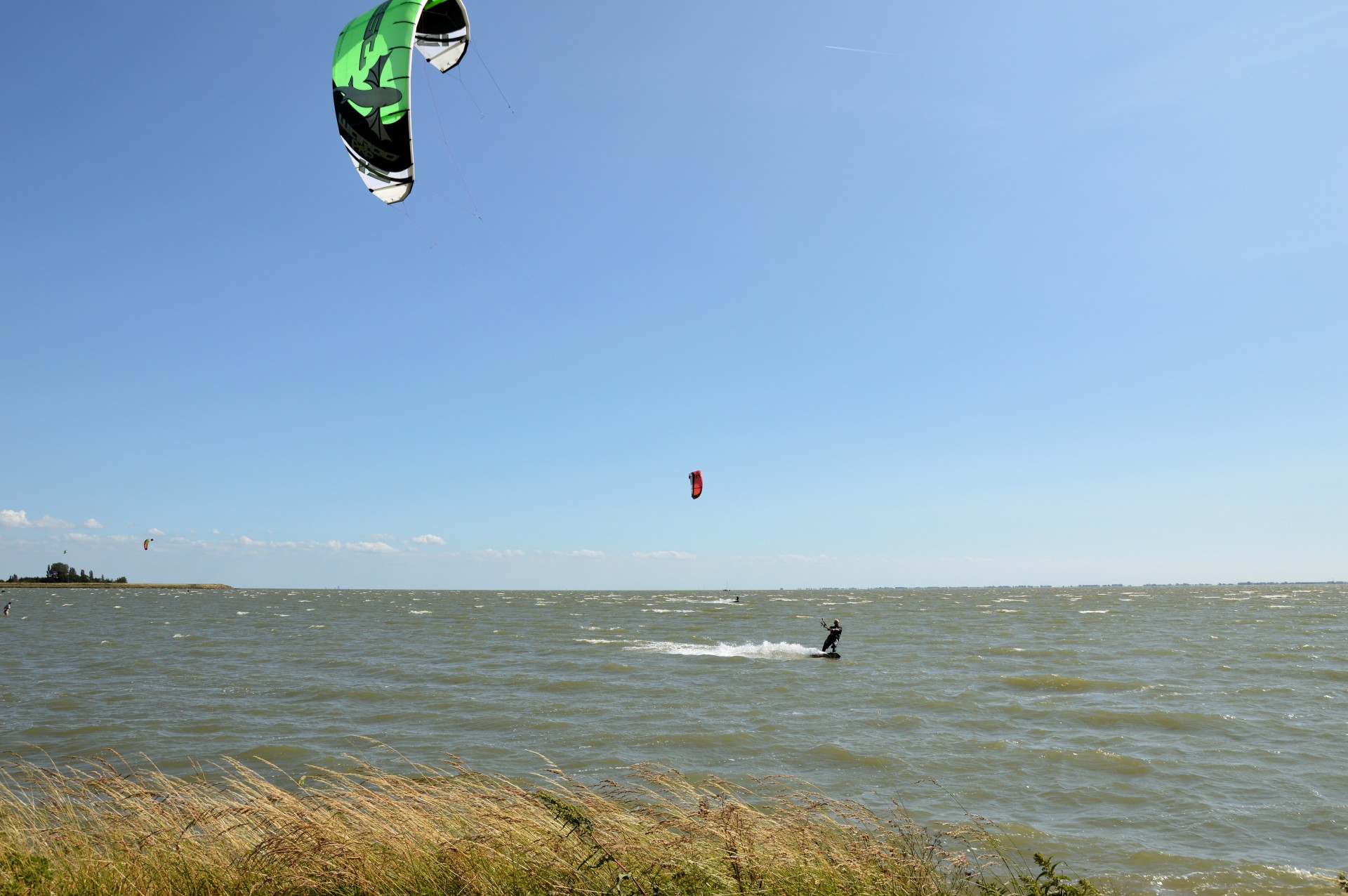 kite surfing windsurfing surfing free photo