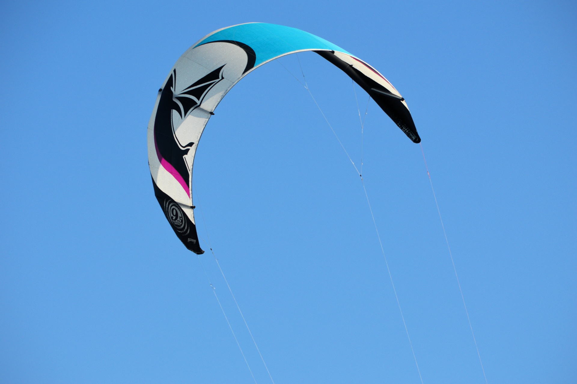 kitesurfing windsurfing surfing free photo