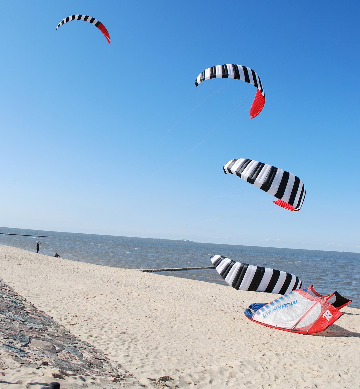 kitesurfer kite surfing beach free photo