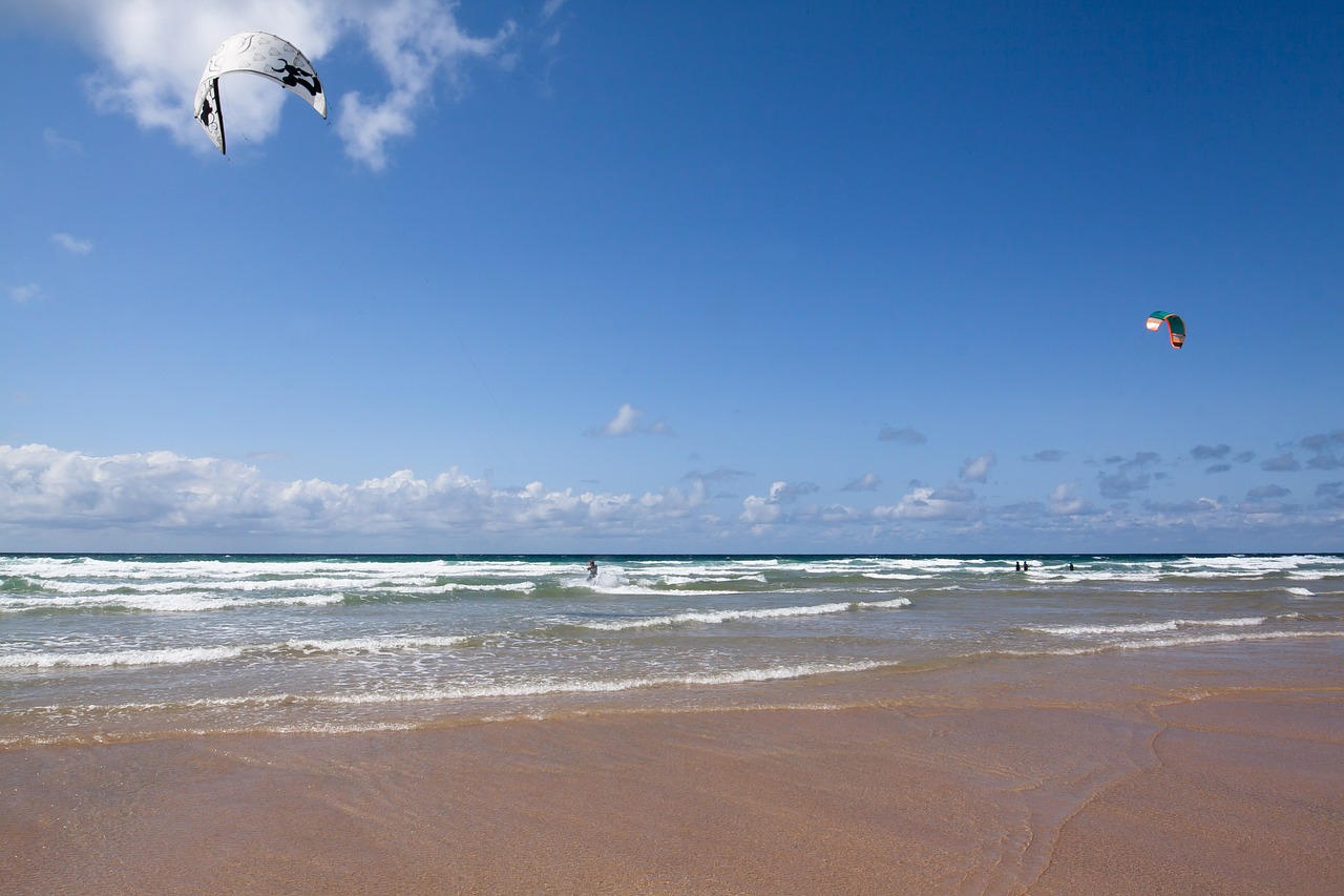 kitesurfer coast beach free photo