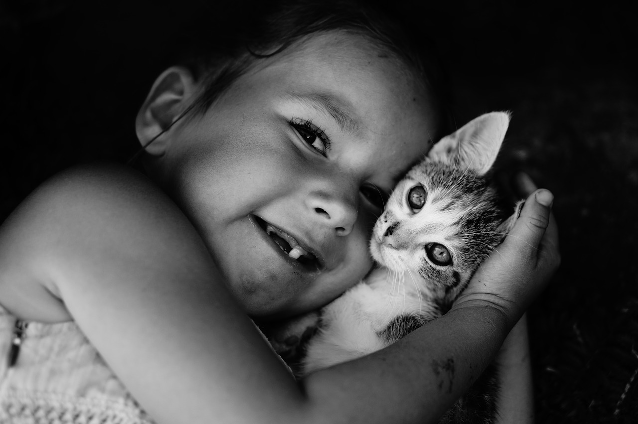 kitten child love free photo