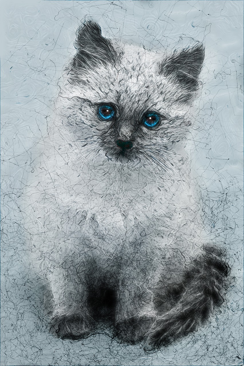 kitten  figure  graphics free photo