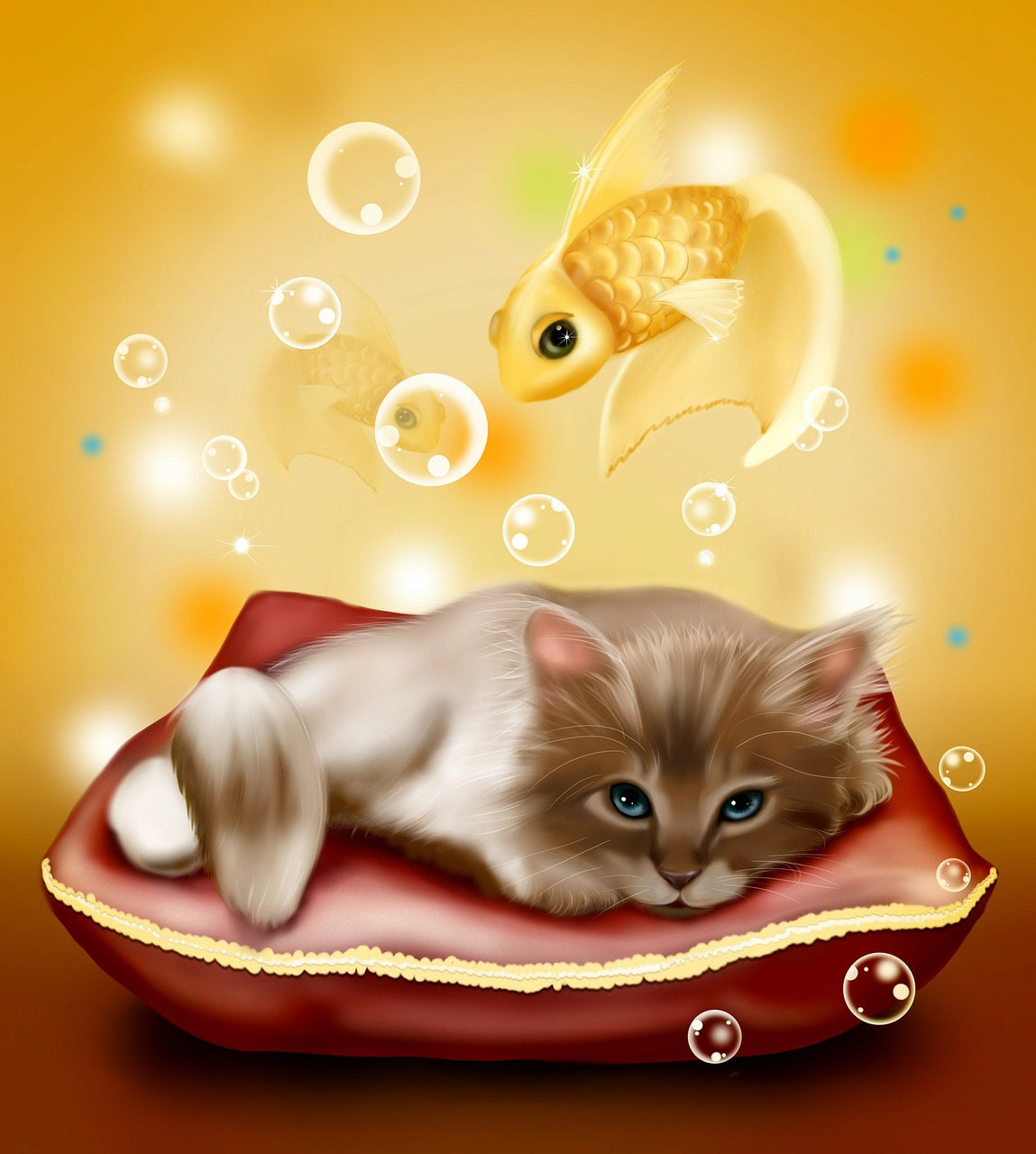 kitten fish background free photo
