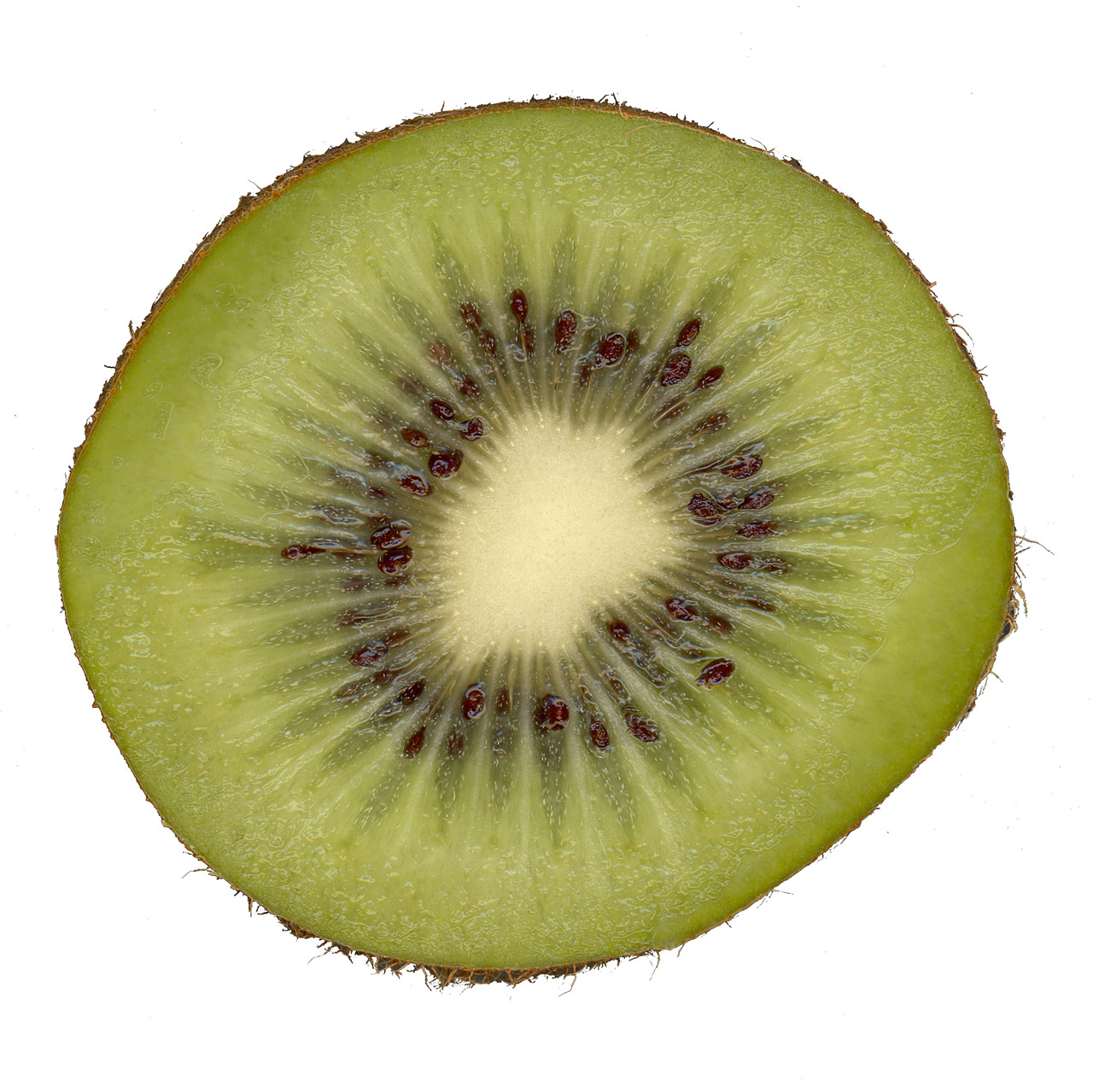 kiwi fruit fruity free photo