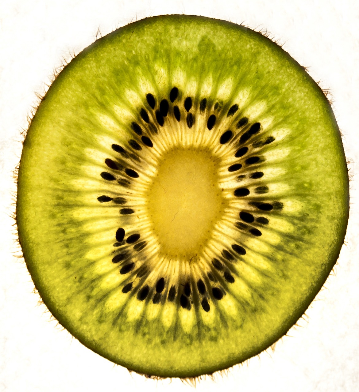 kiwi fruits food free photo