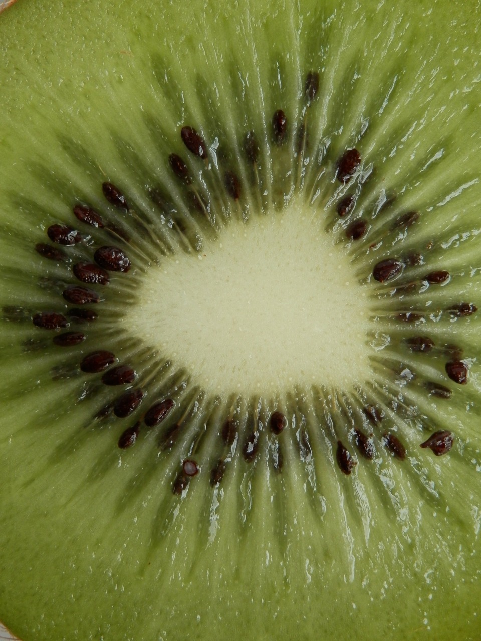 kiwi fruit cores free photo