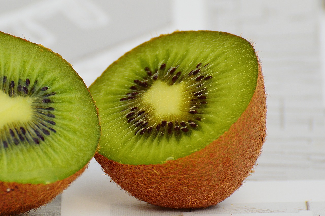 kiwi fruit healthy free photo